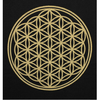 【ふるさと納税】Tシャツ フラワー・オブ・ライフ 姫川薬石 ネイビー (半袖 Sサイズ)【1619390】