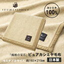 【ふるさと納税】【セミダブル】ピュアカシミヤ毛布 イズミファブリックス【1638929】