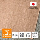 【ふるさと納税】防ダニ カーペット 3畳 日本製 抗菌防臭 ノースポール 江戸間 176×261cm ベージュ【1638987】