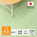 【ふるさと納税】防ダニ カーペット 4.5畳 日本製 抗菌防臭 ノースポール 江戸間 261×261cm グリーン【1639057】
