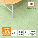 【ふるさと納税】防ダニ カーペット 10畳 日本製 抗菌防臭 ノースポール 江戸間 352×440cm グリーン【1639069】