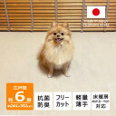 【ふるさと納税】カーペット 日本製 抗菌防臭 犬 猫 ペット ビオラ 261×352cm 江戸間 6畳 アイボリー【1640010】