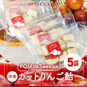 【ふるさと納税】和泉市丸カットりんご飴100g×5袋(冷凍)【配送不可地域:離島】【1550964】