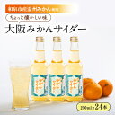 【ふるさと納税】和泉市産みかんを使用!道の駅で大好評のみかんサイダーを24本セットで!【1607363】