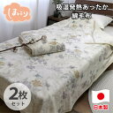 【ふるさと納税】【シングル2枚組】『ほっ』とするやさしい暖かさの綿毛布 SH-36901S-2P【1644244】