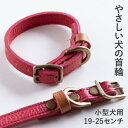 【ふるさと納税】首輪 本革 イタリアンレザー レッド 小型犬用 (19-25センチ)ペット用品【dc-01ss】【1661838】