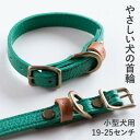 【ふるさと納税】首輪 本革 イタリアンレザー グリーン 小型犬用 (19-25センチ)ペット用品【dc-01ss】【1661885】