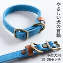 【ふるさと納税】首輪 本革 イタリアンレザー ブルー 小型犬用 (19-25センチ)ペット用品【dc-01ss】【1661919】