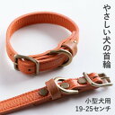 【ふるさと納税】首輪 本革 イタリアンレザー オレンジ 小型犬用 (19-25センチ)ペット用品【dc-01ss】【1661930】