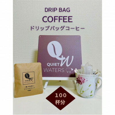 【ふるさと納税】ドリップバッグコーヒー (100バッグ入り)【1672759】