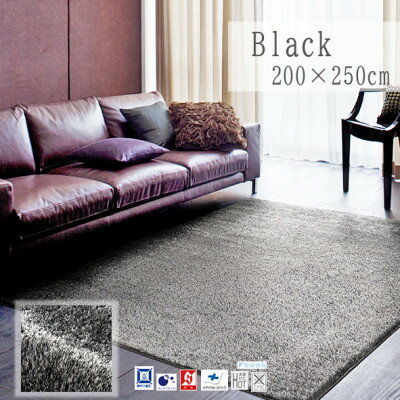 【ふるさと納税】【200×250cm】ネオグラス カーペット ラグ カラー:ブラック【1502488】