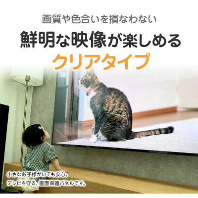 【ふるさと納税】大阪府和泉市　TGCL-50　50インチ用　テレビ画面保護パネル　クリアタイプ　テレビガード【1669368】