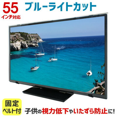 【ふるさと納税】55MBL5 55インチ用 テレビ画面保護パネル ブルーライトカットタイプ 位置調整用スペーサー付【1669384】