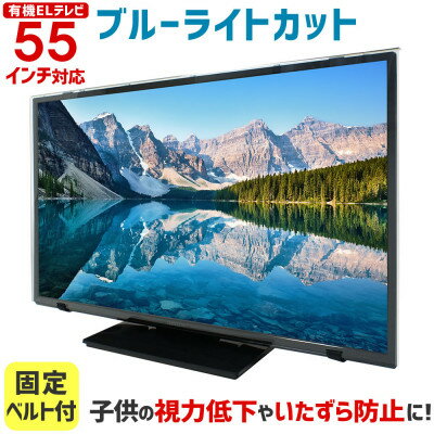 【ふるさと納税】55MBL-EL 55インチ用 テレビ画面保護パネル ブルーライトカットタイプ 位置調整スペーサー付【1669392】