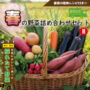 【ふるさと納税】【こだわり春の野菜詰め合わせセット】Mサイズ 栽培期間中農薬・化学肥料・除草剤不使用の旬野菜【配送不可地域:離島】【1679694】