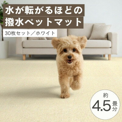 ڤդ뤵Ǽǡۿ夬ž!ɿڥåȥޥåȡUKU30祻å ۥ磻ȡʣĸۡ4074719