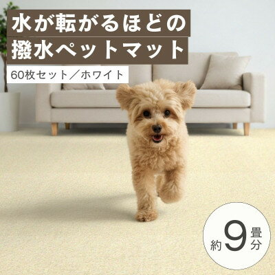 【ふるさと納税】水が転がる程の撥水性!防水ペットマット「UKU」60枚セット ホワイト【複数個口で配送】【4074722】