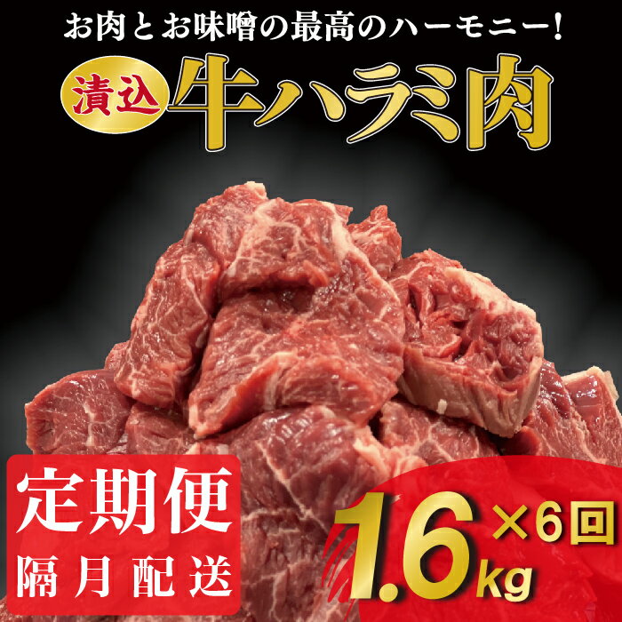 定期便 漬け込み 牛ハラミ 全6回 隔月配送 400g×4パック 総量1.6kg×6回 50年の技が光る!老舗焼肉店の秘伝のタレに漬け込みました(ES013-XY)