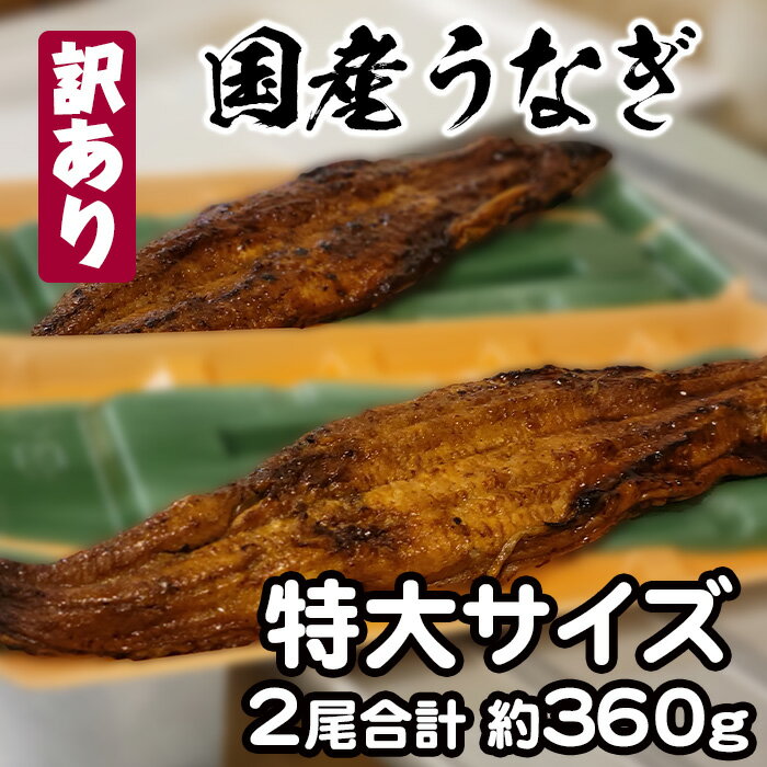 【ふるさと納税】訳あり 特大サイズ 1尾 約180gの国産うなぎ蒲焼を2尾まとめて超お得に（HN002-SJ）