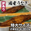 訳あり 特大サイズ 1尾 約180gの国産うなぎ蒲焼を2尾まとめて超お得に（HN002-SJ） 商品概要 何千尾と焼く鰻（ウナギ）の中から形の変形したものや一部傷ついたもの、焦げ目濃いものが出てきます。 それら1尾約180gの鰻を2尾合わせてどどーんとお得にさせていただいています。（真空や冷凍はされていない状態で冷蔵発送いたします。） 受け取り後は、鰻をお皿に移し替えラップをし、電子レンジで500Wで、約30秒温めていただき、お召し上がりください。 自家製の特製タレもお付けしてお送りいたします。鰻と同様に消費期限は5日間です。 【ご注意】 ※北海道・沖縄県・離島などへの配送は出来かねます。 ※こちらの返礼品は生もののため、お受け取りいただけない場合はこちらで破棄いたします。 再送はいたしかねますので予めご了承ください。 ※ゴールデンウィーク・お盆・年末年始期間などの長期休暇中は、お届けまでにお時間がかかる場合がございます。 賞味期限 出荷後5日 内　容 2尾合計約360g 1尾約180gサイズ 商品 問い合わせ先 提供元：川路水産（大阪府和泉市） 電話番号：0725-55-2281 ご注意 お使いのモニター発色の具合によって、実際の物と色合いが異なる場合があります。 ・ふるさと納税よくある質問はこちら ・寄付申込みのキャンセル、返礼品の変更・返品はできません。あらかじめご了承ください。「ふるさと納税」寄付金は、下記の事業を推進する資金として活用してまいります。 寄付を希望される皆さまの想いでお選びください。 (1) 子育て、教育、文化・芸術、健康、都市基盤整備及び環境に関する事業 (2) 産業・雇用及び観光に関する事業 (3) 安全・安心に関する事業 (4) 協働及び人権に関する事業 (5) 再資源化の推進奨励 (6) 経済的理由により就学が困難な者に対する教育の機会均等に関する事業 (7) 久保惣記念美術館の美術品等の取得 (8) 市長が必要と認める事業 特定のご希望がなければ、市政全般に活用いたします。 入金確認後、注文内容確認画面の【注文者情報】に記載の住所にお送りいたします。 発送の時期は、寄付確認後2〜3週間以内を目途に、お礼の特産品とは別にお送りいたします。