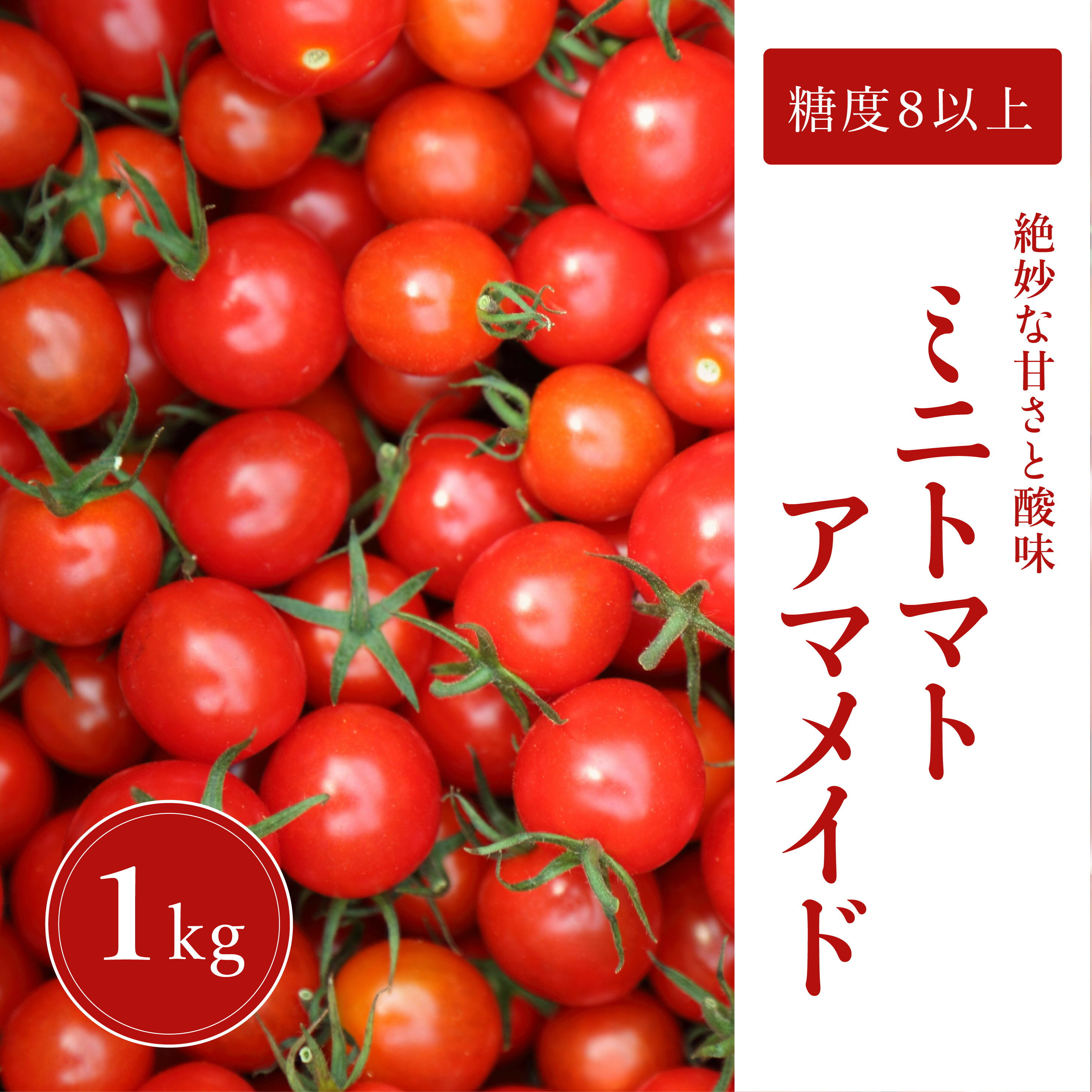 4位! 口コミ数「9件」評価「4.89」ミニトマト 1kg 糖度8以上 アマメイド 野菜（EW001-SJ）