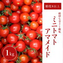 7位! 口コミ数「9件」評価「4.89」ミニトマト 1kg 糖度8以上 アマメイド 野菜（EW001-SJ）