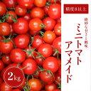 【ふるさと納税】ミニトマト 2kg 糖度8以上 アマメイド 野菜（EW002-SJ） その1