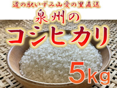 楽天ふるさと納税　【ふるさと納税】大阪府和泉市の農家さんが心を込めて作ったコシヒカリ　一袋5kg。道の駅で大好評。道の駅からつきたてのお米をお届けします。（FJ016-SJ）