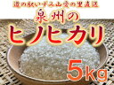 大阪府和泉市の農家さんが心を込めて作ったヒノヒカリ　一袋5kg。道の駅で大好評。道の駅からつきたてのお米をお届けします。（FJ019-SJ） 内容・サイズなど 5kg入り1袋 賞味期限：精米後2か月 商品概要 和泉山脈を源とする清らかでミネラル豊富な水と泉州の温暖な気候が育んだお米です。 道の駅いずみ山愛の里で精米してからお届けしますので、搗きたての味をお楽しみいただけます。 安全・安心の大阪エコ農産物（農薬・化学肥料50％減）認証品です。ヒノヒカリは、味わいがあっさりしており、もちもちした弾力があるので、噛むほどにしっかり甘みが楽しめ、おかずの味わいが引き立ちます。 お漬物やうす味のおかずに合わせたい時は水を多めにふっくらと炊き上げ、チャーハンや丼物の場合は水を少なめにして固めに仕上げる、など料理に合わせて水分量でお好みの硬さに調整できるのが魅力です。 商品 問い合わせ先 提供元：丸和食品株式会社　大阪府和泉市 電　話：0725-92-3888 ご注意 お使いのモニター発色の具合によって、実際の物と色合いが異なる場合があります。 ・ふるさと納税よくある質問はこちら ・寄付申込みのキャンセル、返礼品の変更・返品はできません。あらかじめご了承ください。「ふるさと納税」寄付金は、下記の事業を推進する資金として活用してまいります。 寄付を希望される皆さまの想いでお選びください。 (1) 子育て、教育、文化・芸術、健康、都市基盤整備及び環境に関する事業 (2) 産業・雇用及び観光に関する事業 (3) 安全・安心に関する事業 (4) 協働及び人権に関する事業 (5) 再資源化の推進奨励 (6) 経済的理由により就学が困難な者に対する教育の機会均等に関する事業 (7) 久保惣記念美術館の美術品等の取得 (8) 市長が必要と認める事業 特定のご希望がなければ、市政全般に活用いたします。 入金確認後、注文内容確認画面の【注文者情報】に記載の住所にお送りいたします。 発送の時期は、寄付確認後2〜3週間以内を目途に、お礼の特産品とは別にお送りいたします。