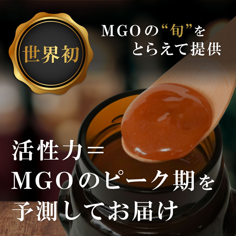 【ふるさと納税】モンドセレクション最高金賞受賞！＜特別採取品＞ストロング マヌカハニー 【MGO1050+】500g（FC016-SJ）