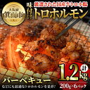 【ふるさと納税】味付けトロホルモン(計1.2kg・200g×6パック) 国産 焼肉 絶品 特Aランク ホルモン ホルモン焼き 牛肉 味付け トロ 牛トロ モツ 牛モツ 小腸 バーベキュー 冷凍 季月【m25-07】【Two Village】