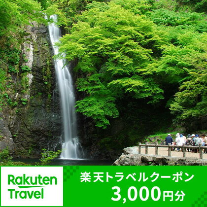 大阪府箕面市の対象施設で使える楽天トラベルクーポン 寄附額10,000円【m42-05】