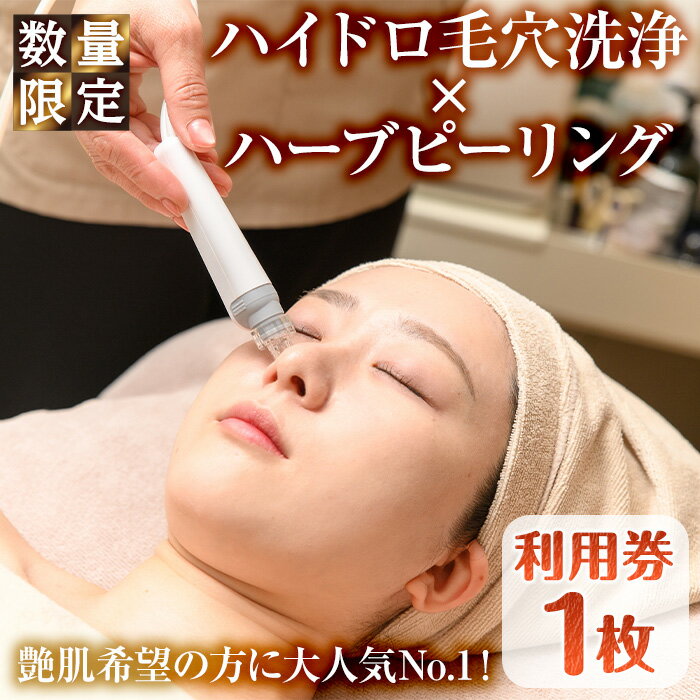 [数量限定]ハイドロ毛穴洗浄×ハーブピーリング利用券(1枚) ハイドロハーブピーリング 高濃度美容液inパック 陶器肌 ハイドロ毛穴洗浄 毛穴ケア 国産ハーブ 艶肌 美容 フェイシャル サロン エステ レディース チケット 体験  [melty minoh]