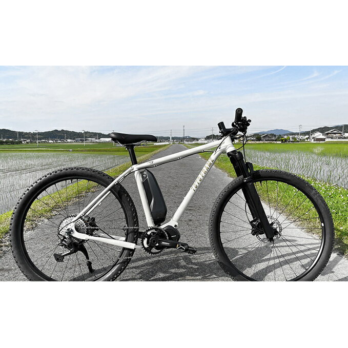 【ふるさと納税】【電動アシスト自転車】TOYO FRAME E-MTB AEB-FMC ※納期約10ヵ月 【雑貨・日用品・電化製品】 お届け:寄付申し込み後約10ヵ月