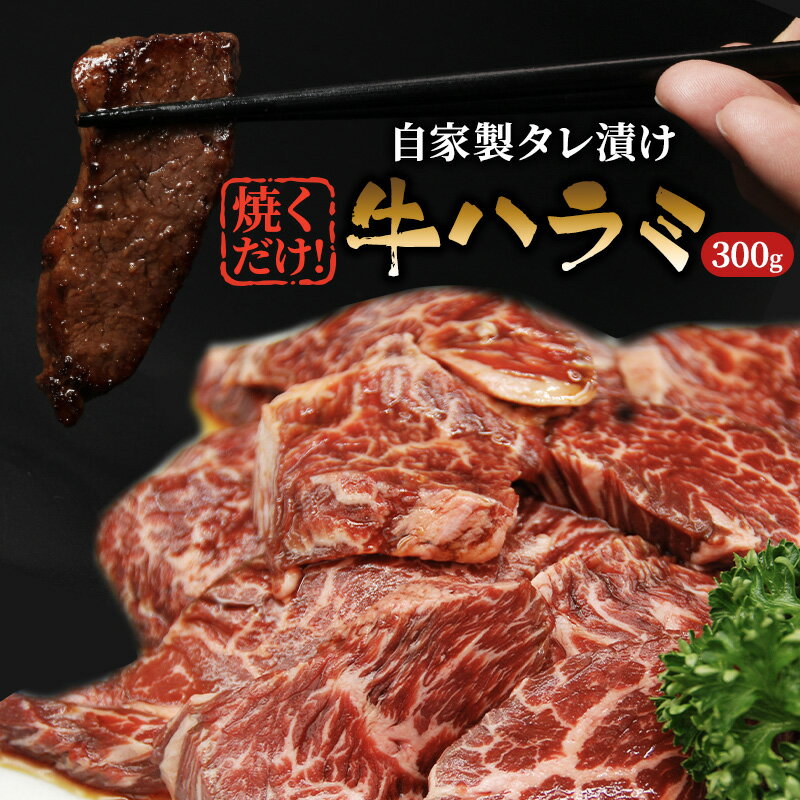 28位! 口コミ数「0件」評価「0」ハラミ たれ漬け 300g 牛肉 牛 肉 お肉 味付け肉 タレ 焼くだけ 真空パック 漬け 焼き肉 焼肉 バーベキュー アウトドア キャンプ･･･ 