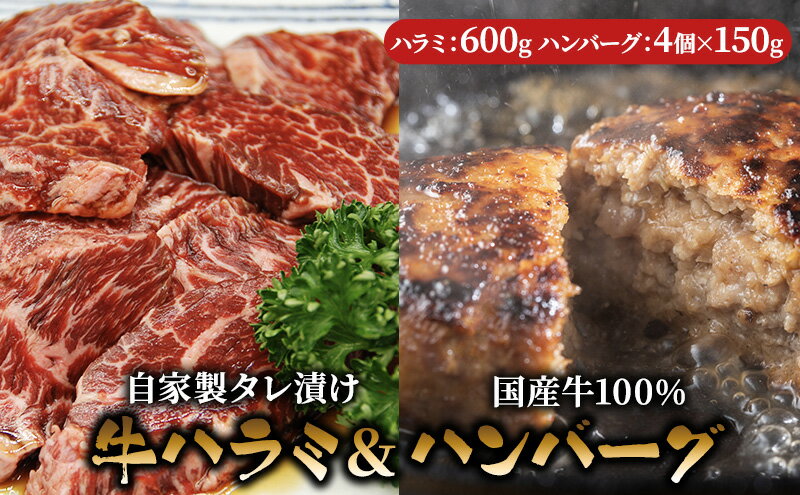 【ふるさと納税】ハラミ たれ漬け 600g ハンバーグ 150g 4個 セット 詰め合わせ 味付け肉 タレ 真空パック 焼肉 バーベキュー アウトドア 弁当 おかず 牛ハラミ 冷凍 惣菜 煮込みハンバーグ お肉 肉 牛肉 牛 手作り ギフト 贈り物 大阪 柏原市　【 大阪府柏原市 】