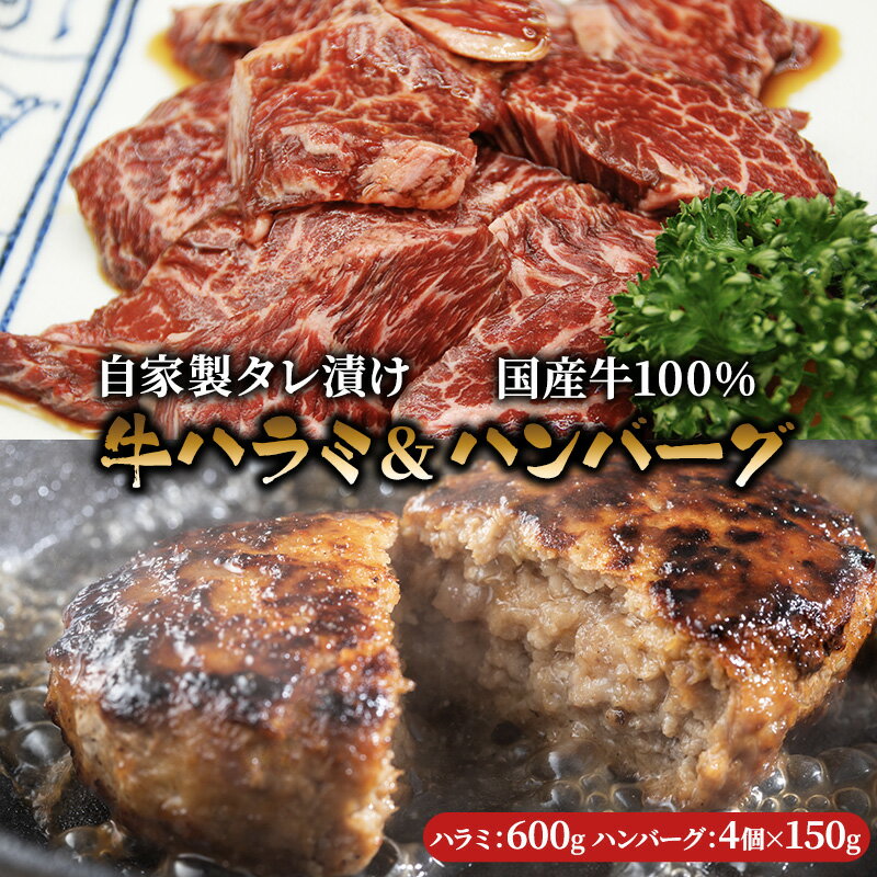 【ふるさと納税】ハラミ たれ漬け 600g ハンバーグ 150g 4個 セット 詰め合わせ 味付け肉 タレ 真空パック 焼肉 バーベキュー アウトドア 弁当 おかず 牛ハラミ 冷凍 惣菜 煮込みハンバーグ お肉 肉 牛肉 牛 手作り ギフト 贈り物 大阪 柏原市　【 大阪府柏原市 】