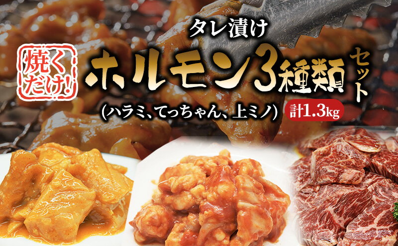 【ふるさと納税】焼肉セット たれ漬け ホルモン セット 1.3kg ハラミ てっちゃん 上ミノ 味噌たれ 詰め合わせ 牛肉 牛 肉 お肉 漬け 焼き肉 焼肉 バーベキュー アウトドア キャンプ 弁当 おかず 冷凍 牛ハラミ 大阪 柏原市　【 大阪府柏原市 】