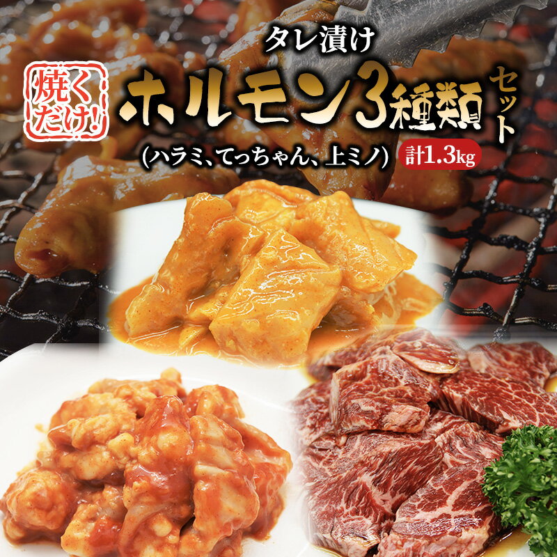 15位! 口コミ数「0件」評価「0」焼肉セット たれ漬け ホルモン セット 1.3kg ハラミ てっちゃん 上ミノ 味噌たれ 詰め合わせ 牛肉 牛 肉 お肉 漬け 焼き肉 焼肉･･･ 