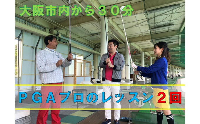 【ふるさと納税】ゴルフスクールレッスン（2回分） ゴルフ場利用権 PGAプロ 初心者 上級者 スイング 貸しクラブ