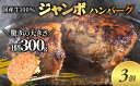 【ふるさと納税】ジャンボ ハンバーグ 300g 3個 セット 国産 牛壱 国産牛100％ 冷凍 惣菜 おかず 真空パック 煮込みハンバーグ お肉 肉 牛肉 牛 淡路島 たまねぎ 手作り ギフト 贈り物 プレゼント 大阪 柏原市　【 大阪府柏原市 】 2