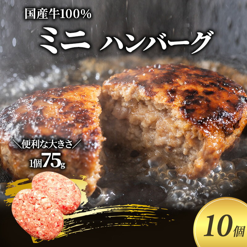 5位! 口コミ数「0件」評価「0」ミニ ハンバーグ 75g 10個 セット 国産 牛壱 国産牛100％ 冷凍 惣菜 おかず 真空パック 煮込みハンバーグ お肉 肉 牛肉 牛 ･･･ 