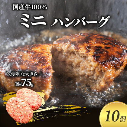 ミニ ハンバーグ 75g 10個 セット 国産 牛壱 国産牛100％ 冷凍 惣菜 おかず 真空パック 煮込みハンバーグ お肉 肉 牛肉 牛 淡路島 たまねぎ 手作り ギフト 贈り物 プレゼント 大阪 柏原市　【 大阪府柏原市 】