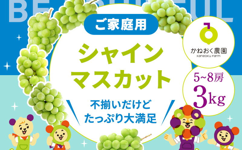 【ふるさと納税】＜2024年先行予約＞【家庭用】完熟シャインマスカット 3kg　【 果物 ぶどう フルーツ デザート 食後 おやつ 】　お届け：2024年8月下旬～2024年9月初旬