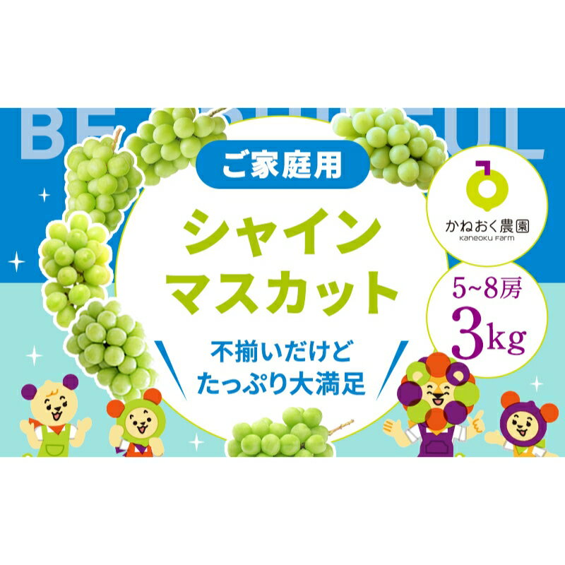 【ふるさと納税】＜2024年先行予約＞【家庭用】完熟シャインマスカット 3kg　【 果物 ぶどう フルーツ...