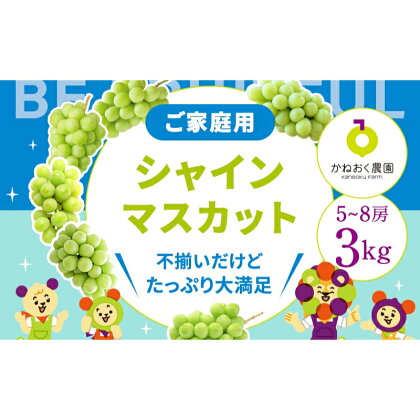 ＜2024年先行予約＞【家庭用】完熟シャインマスカット 3kg　【 果物 ぶどう フルーツ デザート 食後 おやつ 】　お届け：2024年8月下旬～2024年9月初旬