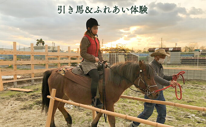 【ふるさと納税】引き馬＆ふれあい体験 体験チケット 日本在来馬 和種馬 ブラッシング 手入れ ふれ合い ホースセラピー 動物 2