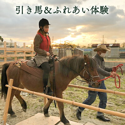 引き馬&ふれあい体験 [ 体験チケット 日本在来馬 和種馬 ブラッシング 手入れ ふれ合い ホースセラピー 動物 ]
