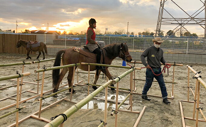 【ふるさと納税】引き馬＆ふれあい体験 体験チケット 日本在来馬 和種馬 ブラッシング 手入れ ふれ合い ホースセラピー 動物 3