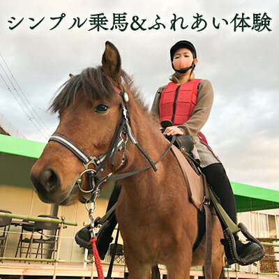 シンプル乗馬&ふれあい体験 [ 体験チケット 日本在来馬 和種馬 ブラッシング 手入れ ふれ合い ホースセラピー 動物 ]